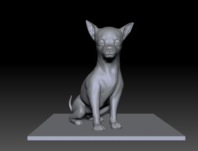 scultura of chihuahua animale domestico cane natura statua minuscolo gioielleria collana piccolo cani animali mammifero stampabile arte sculture miniature 3d print model - Mito3D