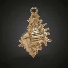 mer coquille pendentif or brillant décoration art bijoux imprimable argent coquillage platine pendentifs laiton bijou 3d print model - Mito3D