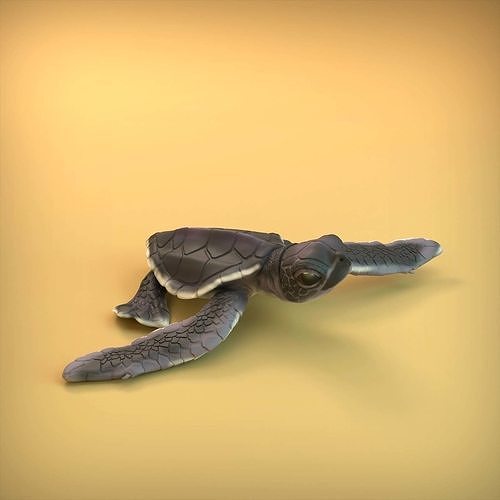 sea turtle hatchling 3d printing baby cute tortoise animal reptile ocean nature sculpture miniature figure wildlife art marine toy collectible sculptures 3D print model - Mito3D