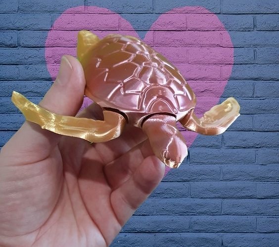 mare tartaruga d'acqua dolce pesce animale acqua oceano invertebrato marino arte sculture 3D print model - Mito3D