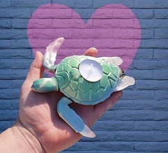 mar Tortuga tortuga agua dulce vela chingle pez animal Oceano coral acuático acuario casa decoración 3d print model - Mito3D