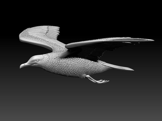 seagull bird high print statue gull poly sculpture interior art sculptures 3D print model - Mito3D