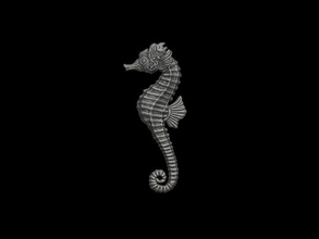 cavalluccio marino pendente gioielleria arte stampabile animale collana ciondolo argento mare cavallo natura sterlina platino ciondoli 3d print model - Mito3D