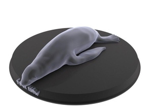 sello de león art el seallion los mamíferos pescado mar agua salvaje animal la naturaleza impresión imprimible juguete juguetes real realista estatua las esculturas 3d print model - Mito3D