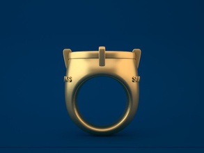 seattle seahawks campioni del mondo ring gioielli champions anello carattere umana abbigliamento anelli 3d print model - Mito3D