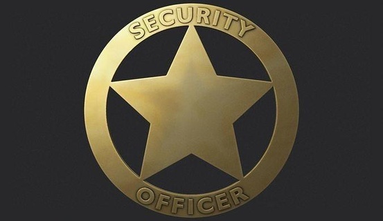 security officer badge sheriff shield uniform armour star western justice emblem west law american crime police circle cicle symbol art signs logos 3d print model - Mito3D