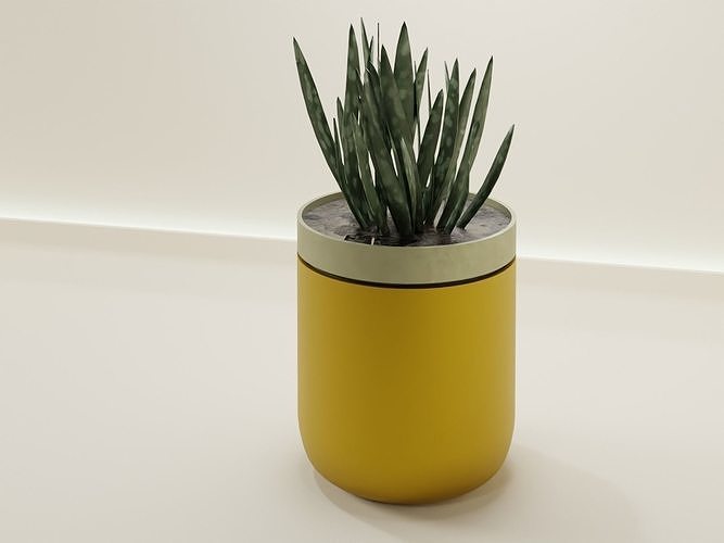 self watering fioriera 58 irrigazione cactus flora pentola fiore forma ciotola vaso succulenta pianta casalinghi stoviglie arredamento botanico giardinaggio verde scolare in Casa 3D print model - Mito3D