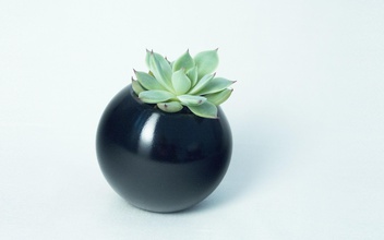 sfera planteur accueil maison vivant extérieur jardinage succulent intérieur sphère cactus élégant bureau étagère décoration pot moderne décor 3d print model - Mito3D