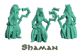 shaman druid games-toys role play elf wood sylvan spirit sacred mage totem magician wargame warhammer dungeon dragons pathfinder crosslances game games toys 3d print model - Mito3D