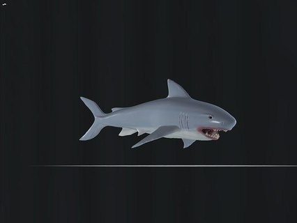requin poisson marin faune l'eau océan aquarium mer nature animal vie marine mammifère nager art sculptures 3d print model - Mito3D