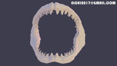 tubarão mandíbula dentes anatomia biologia natureza dente ótimo branco osso peixe mar oceano assassino animal predador alto megalodon ciência astronomia física 3d print model - Mito3D