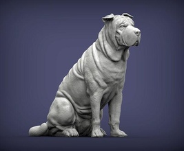 shar pei 3d stampa modello cane natura mammifero animale domestico scultura statuetta souvenir scolpire arte sculture statua stampabile 3d print model - Mito3D