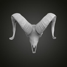 oveja remar fauna silvestre naturaleza biología espiral bosque imprimible joyería joya colgante pendiente anillo Ciencias plata anatomía cabra safari oro 3d print model - Mito3D