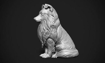 sheltie cane animale stampa domestico shetland miniature figurine statua stampabile arte sculture 3d print model - Mito3D