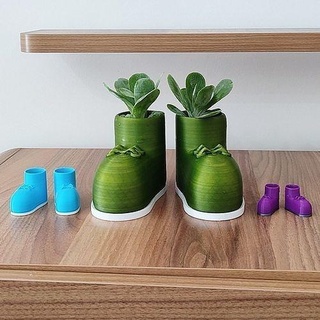 shoe look maceta lápiz caso funda zapato Mira Zapatos flor planta calzado ropa personaje hoja árbol naturaleza casa decoración 3d print model - Mito3D