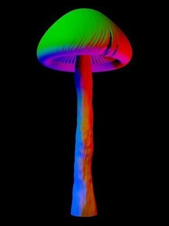 shroom art motley design neon mushroom psilocybin high trippy trippin color colorful interstellarshrooms sculptures 3d print model - Mito3D