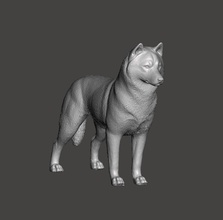 siberiano rouco cão husky puxar trenós cachorro estimação canino animal escultura miniatura alto lobo arte esculturas 3d print model - Mito3D