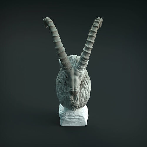 siberian ibex bust 3d printing animal goat horns sculpture realistic creature supported presupported miniature figure toy head statue art sculptures 3D print model - Mito3D