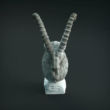 siberian ibex bust 3d printing animal goat horns sculpture realistic creature supported presupported miniature figure toy head statue art sculptures 3d print model - Mito3D