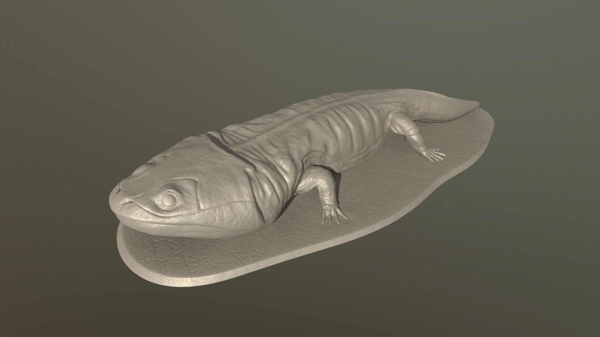 siderops kehli extinto anfíbio rã australiano dinossauro paleoarte arte esculturas 3D print model - Mito3D