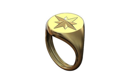 sello Brújula anillo norte sur Oeste dirección navegación plata joya imprimible joyería anillos Moda oro signetring gentsring libra esterlina 3dring 3d print model - Mito3D