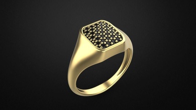 el anillo de sellar modelo especial hombre signet del los hombres la joyería gem imprimible plata oro anillos sellos brillante estados unidos canadá europa áfrica 3d print model - Mito3D