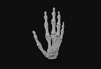 skeleton hand skeletonhand skull bone art artistic film body anatomy male man girl sculptures 3d print model - Mito3D