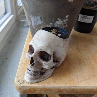 skull pot resumo papel parede insubstancial artístico Projeto fundo monocromático arte esculturas anatomia plantar Panela crânio plantador vaso planta anatômico 3d print model - Mito3D