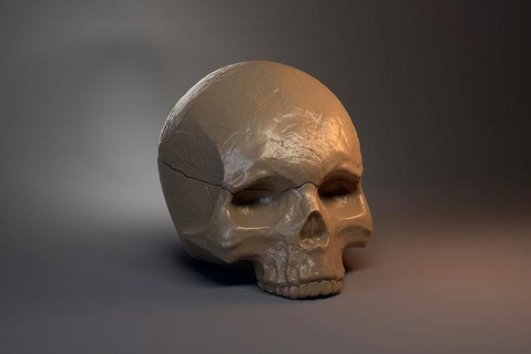 skull shaped Box Schädel Dekoration Dekor dekorativ Kopf Haus Zubehör Kunst Skulpturen Vase Anatomie Knochen 3dprint Skelett 3d print model - Mito3D