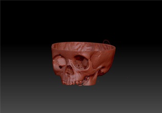 cráneo-piel de resonancia magnética la piel el cráneo real médica ciencia biología 3d print model - Mito3D