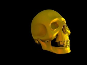 skull human animal skeleton body model art 3d print model - Mito3D