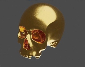 cranio oro sifi stampabile stl stampa miscelatore vecchio antic morto morte osso scheletro anatomia testa scienza umano denti dente archivio biologia 3d print model - Mito3D