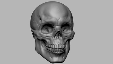 el cráneo los caracteres criaturas personas estilizada realista zbrush ztl 3dprint imprimible art las esculturas 3d print model - Mito3D