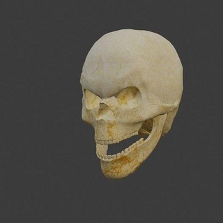 skull anatomy bone head teeth horror art sculptures statue grave halloween headstone gravestone 3d print model - Mito3D