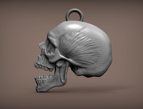 skull skull skeleton dead pendant medallion decoration jewel art sculptures skeletal anatomy head