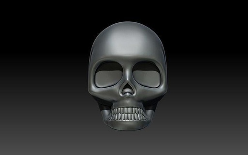 cranio carattere testa scheletro umano gioielleria osso casco anatomia anime scienza robot corpo medico animale arte sculture 3d print model - Mito3D