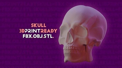 skull anatomy head biology bone character body jaw anatomical man hobby diy 3d print model - Mito3D