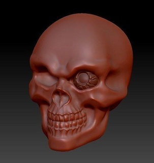 skull head art physiology anatomy sculpture teeth clay statue sculptures 3d print model - Mito3D