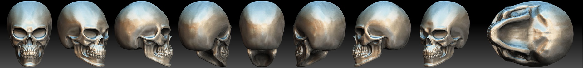 Schädel Kunst Knochen Körper Anatomie Mann Gesicht Skelett weiblich Skulpturen 3d print model - Mito3D