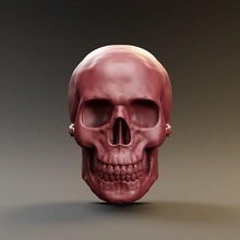 kafatası insan baş anatomi iskelet kemik ölü ölüm vücut heykel cadılar bayramı mezar taşı diş korku bilim kemikler gerçekçi zbrush sanat heykeller 3d print model - Mito3D