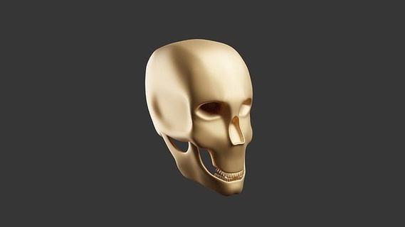 cráneo 3d modelo personaje humano cabeza esqueleto hueso anatomía esquelético cuerpo dientes huesos Arte esculturas 3d print model - Mito3D
