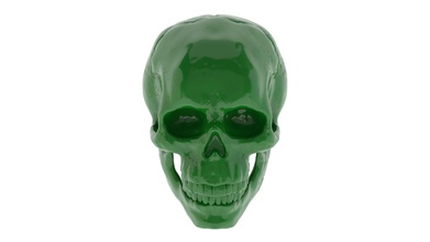 cranio 3d stampa umano testa scheletro mascella scienza uomo anatomia osso medico dente corpo medicinale naso stampabile arte sculture 3d print model - Mito3D