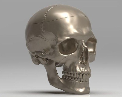 skull 3d print model human scull anatomy jewelry sculpture halloween head rings skeleton silver gold printable face bone ring art character sculptures 3d print model - Mito3D