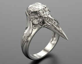 skull crow ring jewelry gold printable art luxury modern silver rings 3d print model - Mito3D