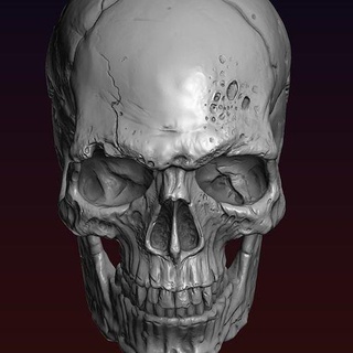 cráneo detallado anatomía hueso personaje cabeza humano mandíbula masculino médico esquelético esqueleto estilizar estilizado dientes diente dañado vampiro mal Arte esculturas 3d print model - Mito3D