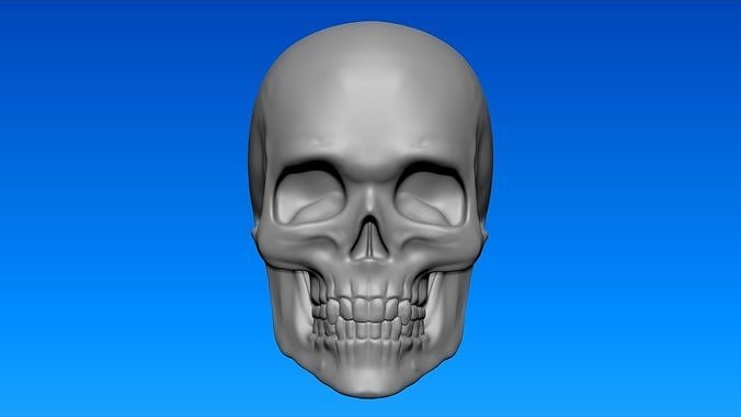 skull flat back magnet sugar painting dead dia de los muertos skeleton grave science death wallart art sculptures 3D print model - Mito3D