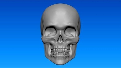cranio piatto indietro magnete zucchero pittura morto dia de los scheletro tomba scienza morte arte muraria sculture 3d print model - Mito3D