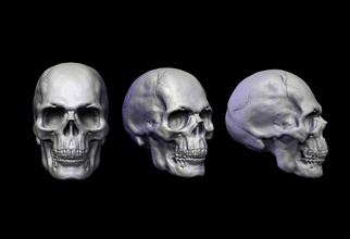 skull head anatomy body animal skeleton skeletal cranium bone science anatomical biology death dead human zombie art sculptures mythiclegions 3d print model - Mito3D