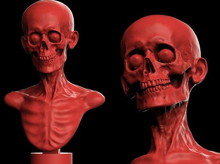 schädel kopf büste statue kunst skelett zombie untote ghul dünn knochen auge zähne anatomie skulpturen gruselig grusel halloween wight 3d print model - Mito3D