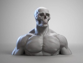 crânio cabeça humano a01 3d impressão modelo anatomia corpo zbrush estatueta escultura miniaturas estatuetas personagem estátua homem referência basemesh arte esculturas 3d print model - Mito3D